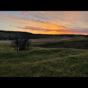 Meet your Posher, Clayton